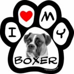 Imagine This 5-1/2-Inch by 5-1/2-Inch Car Magnet Picture Paw, Boxer