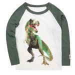 Bleubell Teddlor Boys T-Rex Long Sleeve Dinosaur T Shirt