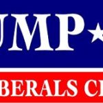 work house signs Trump 2020 Make Liberals CRY Again Magnet Magnetic Bumper Sticker