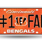 Rico NFL Number One Fan License Plates