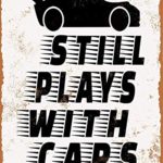 Lbaotian 8×12 Still Plays with Cars Tin Wall Signs Warning Metal Sign Plaque Poster Iron Painting Art Decoration for Bar Café Hotel Office Bedroom Garden