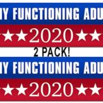 MAGNET 2 Pack: 3×9 inch Any Functioning Adult 2020 Bumper Sticker (No Left Right Funny) Magnetic vinyl bumper sticker sticks to any metal fridge, car, signs