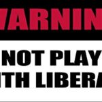 MAGNET 3×9 inch Does Not Play Well w/Liberals Bumper Sticker -anti conservative gop Magnetic vinyl bumper sticker sticks to any metal fridge, car, signs