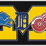 ATD Detroit Michigan Sport Teams Combined Logos Novelty Front License Plate Lions, Tigers, Red Wings Decorative Car Tag can Also be Used as a Door Sign