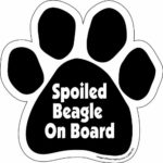 Imagine This Paw Car Magnet, Spoiled Beagle on Board, 5-1/2-Inch by 5-1/2-Inch