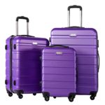 Coolife Luggage 3 Piece Set Suitcase Spinner Hardshell Lightweight TSA Lock 4 Piece Set