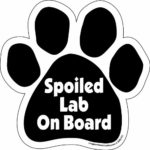 Imagine This Paw Car Magnet, Spoiled Lab on Board, 5-1/2-Inch by 5-1/2-Inch