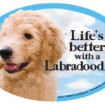 Prismatix Decal Cat and Dog Magnets, Labradoodle