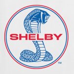 Shelby Cobra USA Logo Emblem Powered by Ford Motors Cars and Trucks Front and Back Men’s Graphic T-Shirt, White, Large