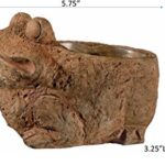 Classic Home and Garden 9/3461R/1 Frog Planter, Small Rust