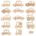 Promise Babe 15pcs Baby Monthly Milestone Cards Wooden Baby Milestone Signs Photo Props Set with Drawstring Bag