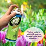 Four Paws Keep Off! Dog and Cat Repellent Outdoors & Indoors Spray 10 Ounces