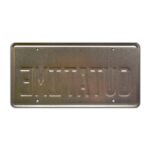 Celebrity Machines Back to The Future | Delorean | Outatime | Metal Stamped Vanity Prop License Plate