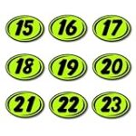 Bold Year Model Signs Black and Chartreuse, Oval, adhesive windshield year model sign, durable, waterproof vinyl EZ-Line EZ226 (Black Chartreuse, 2023)