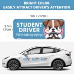 BOTOCAR Funny Student Driver Magnet for Car – 3 Pack 9″x3.5″ Magnetic Reflective Funny Removable Novice Driver Safety Attention Sign – Weather-Resistant (Blue Dog)