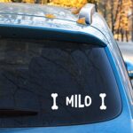 Personalized Dog Name Decal with Drawings of Bones – Customized Sign with Bone Picture Dog Bowl Decal – Individual Stickers of Bones for Car Bumper, Window, Bowl