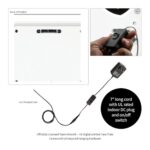 Team Sports America NCAA University of Georgia Ultra-Thin LED Light Wall Sign Décor | Officially Licensed – 23 Inch Mascot Logo Shaped Wall Sign | Made in USA